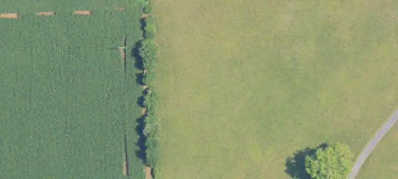 Vacant Land