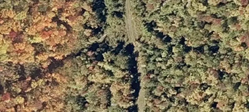 Aviation Property with Grass Airstrip