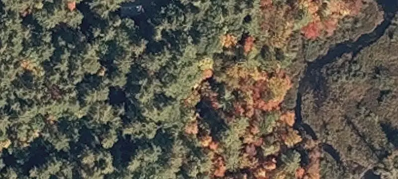 Waterfront Land with Forest