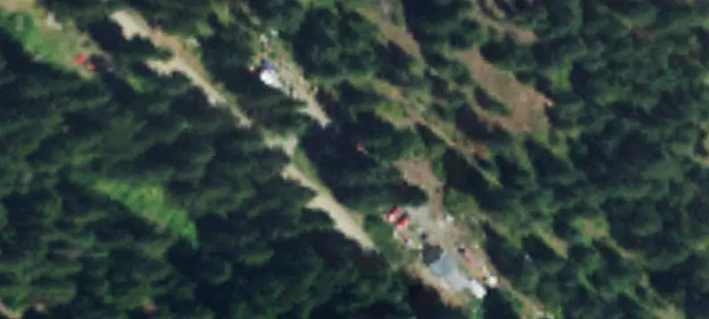 Timber Hunting Land