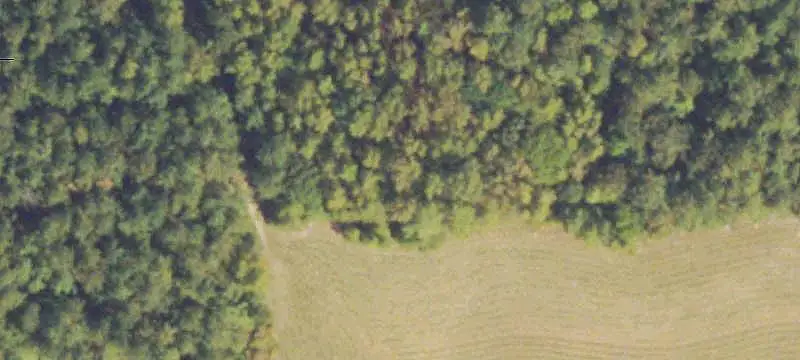 Wooded and Pastured Agricultural Land