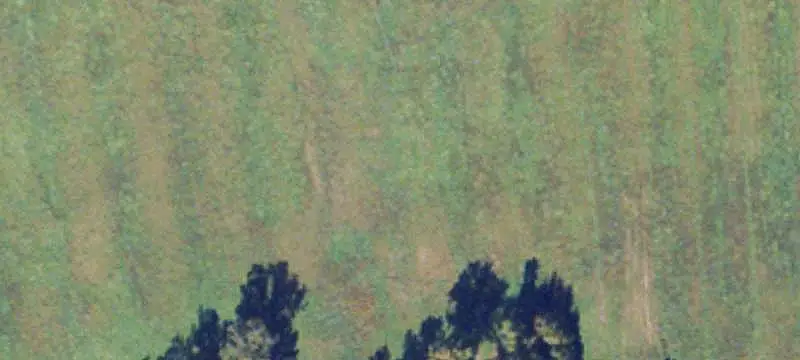 Land / Agriculture