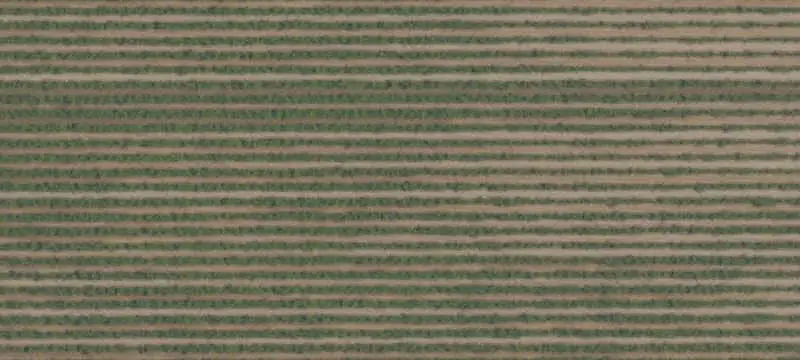 Vineyard Property with Water Resources