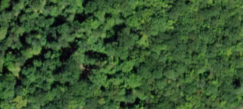 Wooded Hunting Land