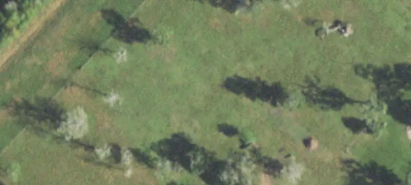 Flag-Shaped Land Tract