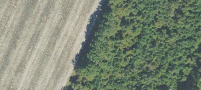 Agricultural Land with Road Frontage