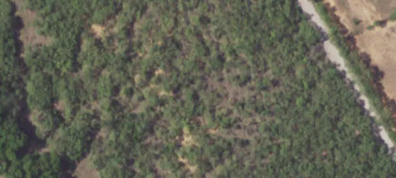 Vacant Land