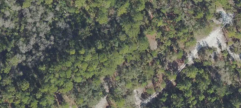 158 FERNCREEK Dr, Georgetown, FL 32139