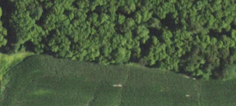 Certified Organic Farm