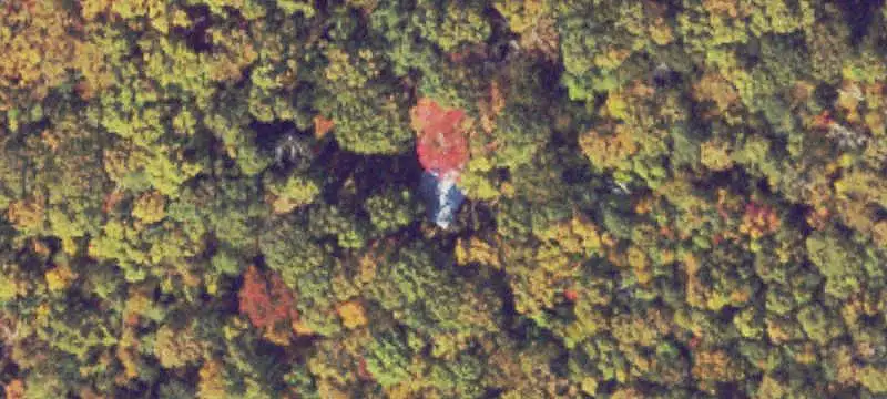 Hunting Land with Cabin