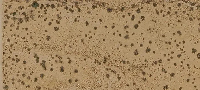Land / Agriculture