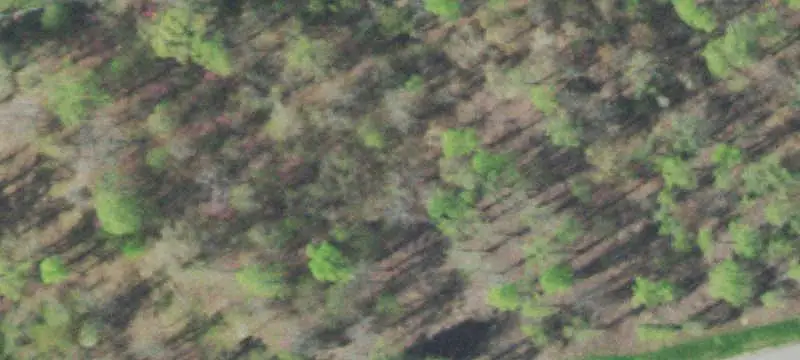 Lots & Acreage