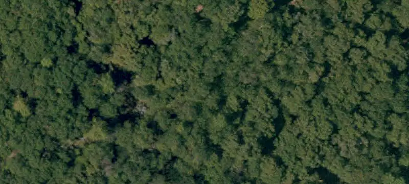 Timberland Farm Acreage