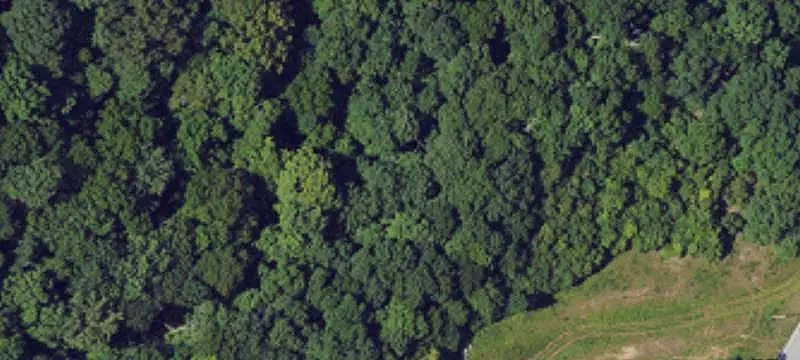55.60-Acre Land Parcel