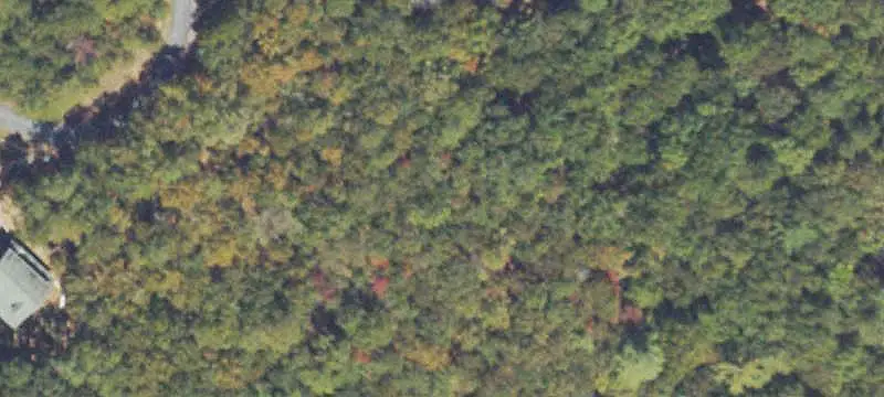 Recreation Land with Stream