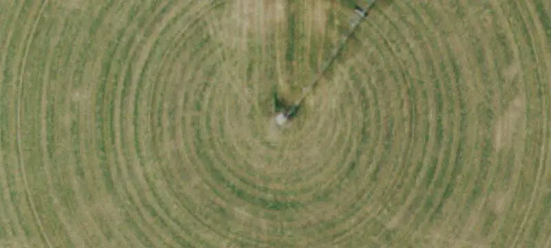 Irrigated Alfalfa Farm