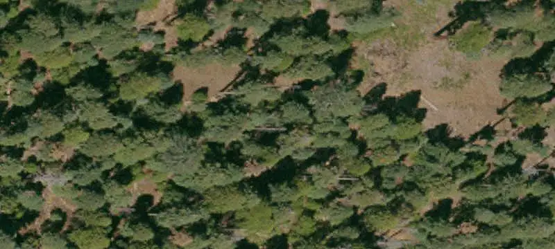 Wooded Recreation Land