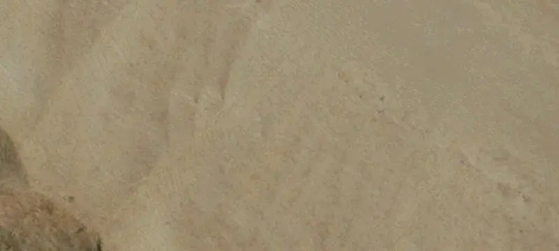 Irrigated Agricultural Land