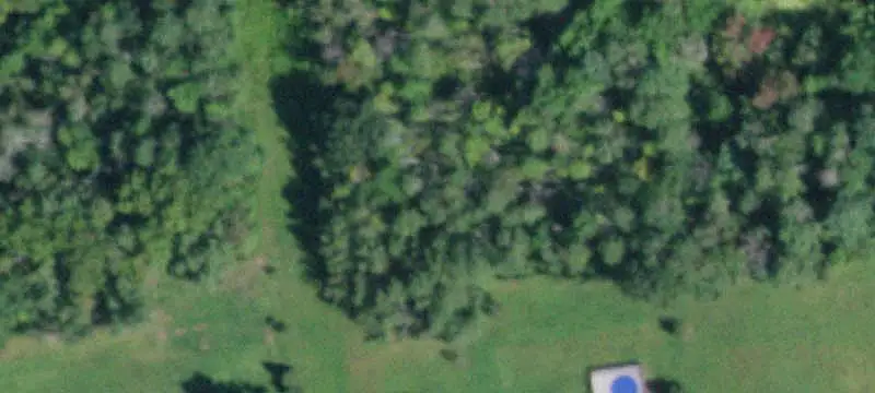 Wooded Hunting Land
