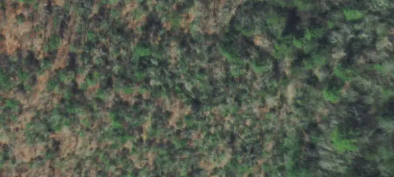 Land / Unimproved Land