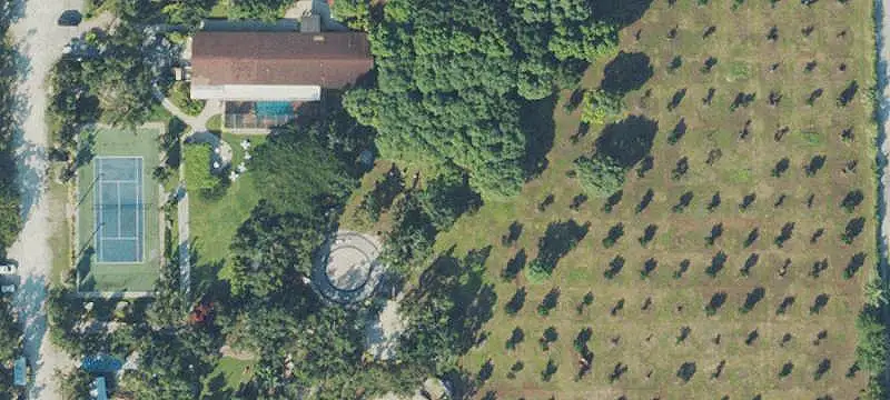 Avocado and Mango Farm