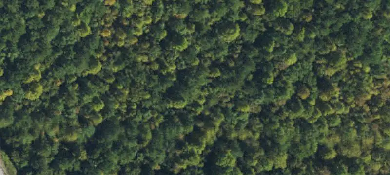 Corner Commercial Land