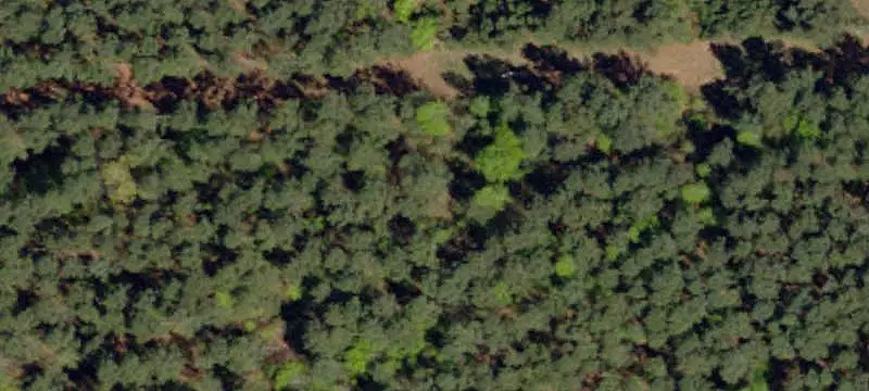 Mostly Level Land Tract