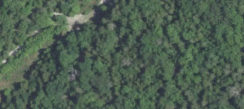 Unimproved Land