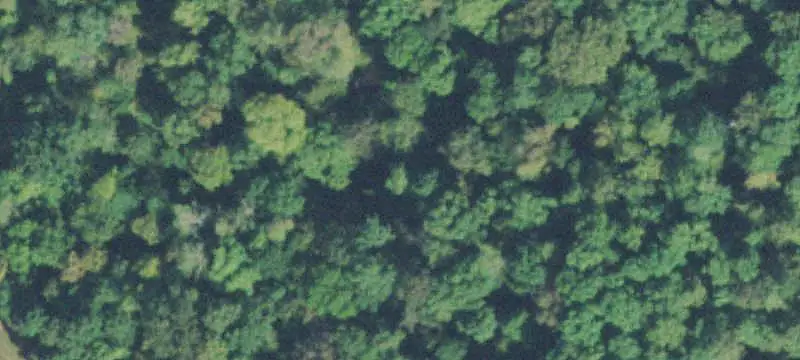 Vacant Land