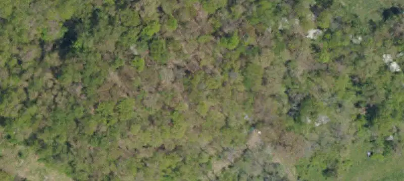 Rolling Agricultural Land