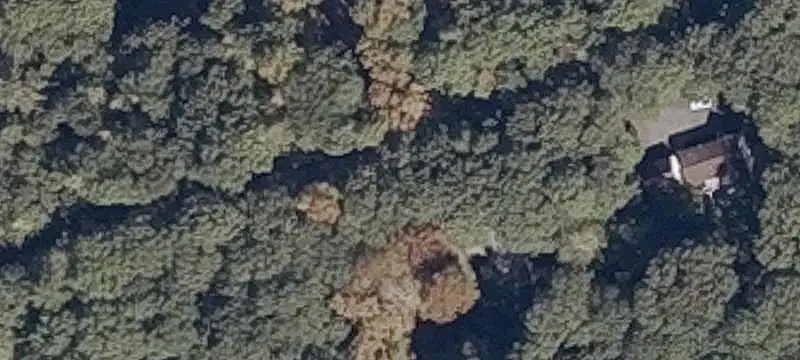 Undeveloped Land Parcel