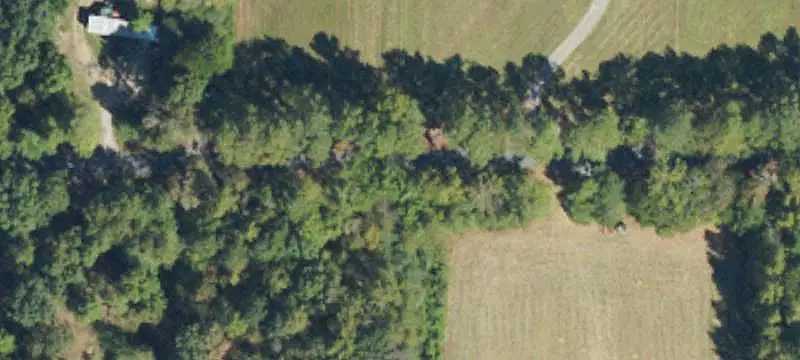 Wooded Land Tract With Open Field