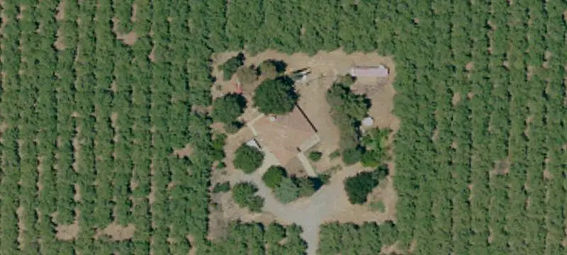 Almond Farm With Custom Home