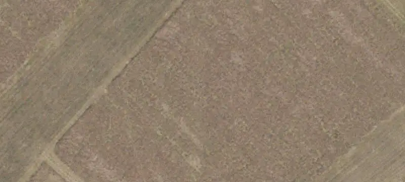 Tier 4 Poultry Farm