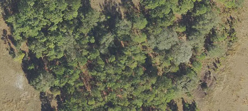 Land