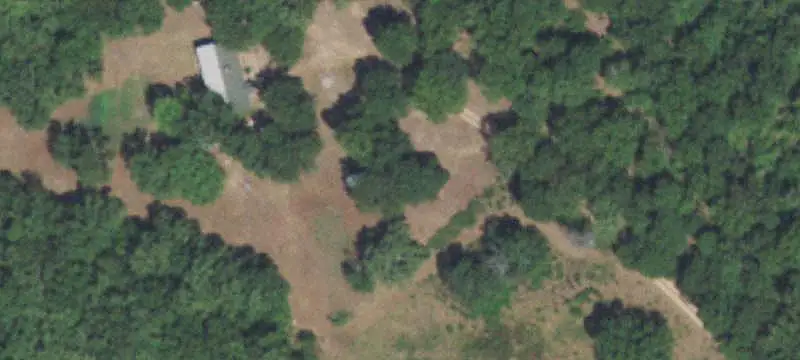Open Pastureland Tract