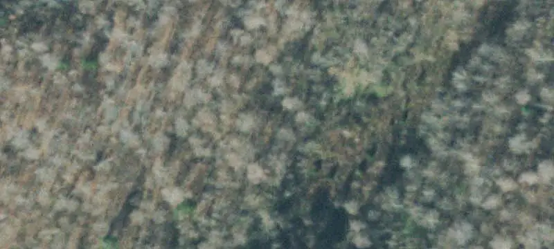 Land Tract