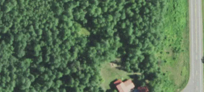 Timbered Hunting Land