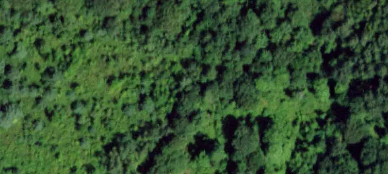 Land / Unimproved Land