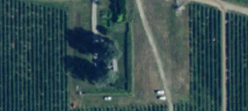 Agricultural Farm with Blueberry Plantation
