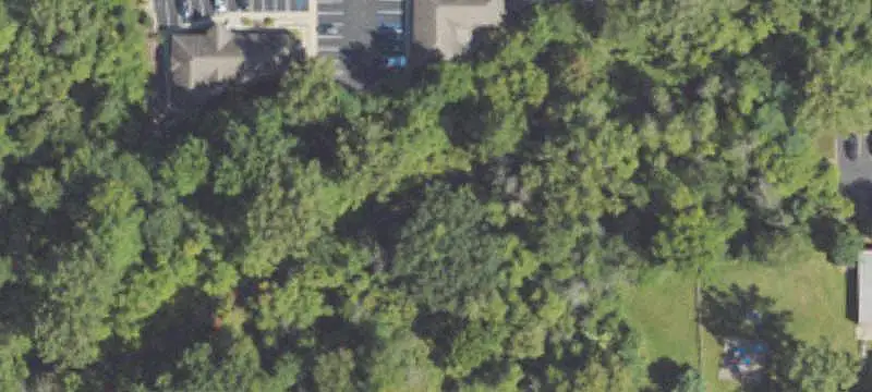 Office Units with Natural Area View