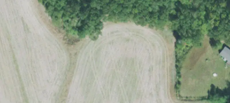 Wooded Duck Hunting Land