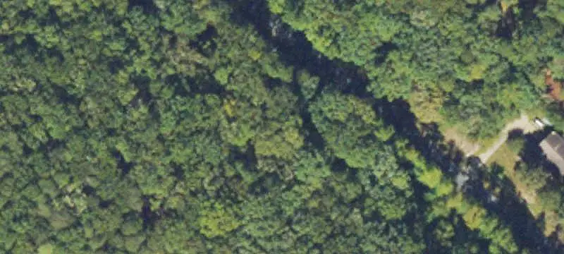 Lots/Land