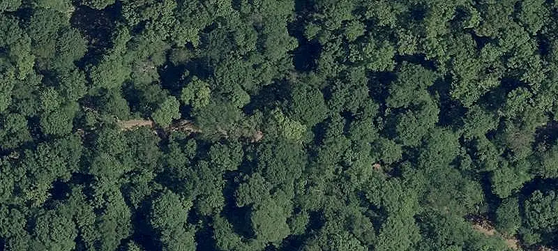Wooded Recreational Land with Trailer
