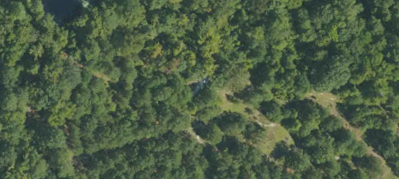 Land / Wooded