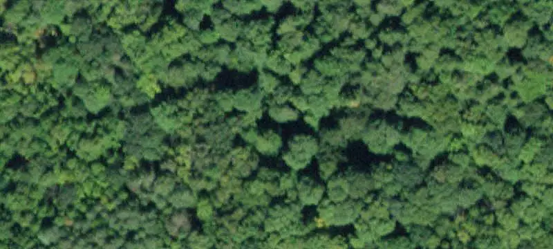 Vacant Land