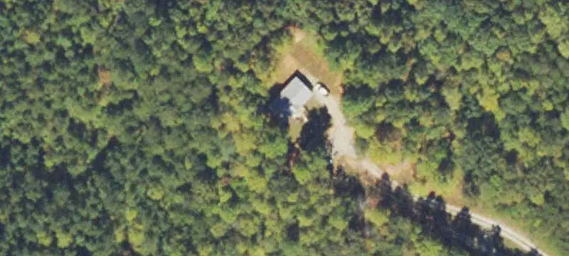 Mature Forest Hunting Land