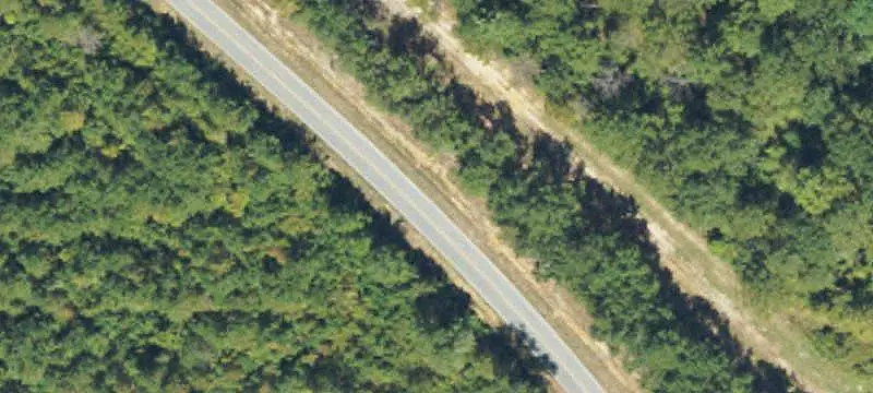 Managed Hunting Land