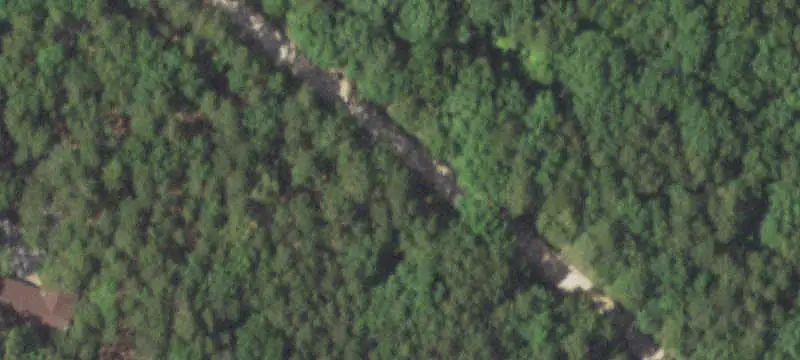Timbered Hunting Land with Food Plot
