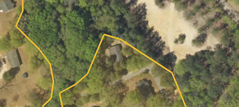 Upland Longleaf Pine Land